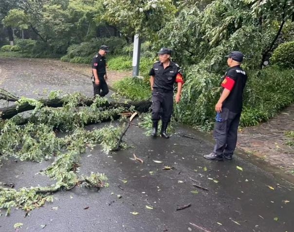 C:/Users/BA/Desktop/風(fēng)雨過后南京保安迅速行動(dòng)，恢復(fù)安“寧”面貌/7.jpg7